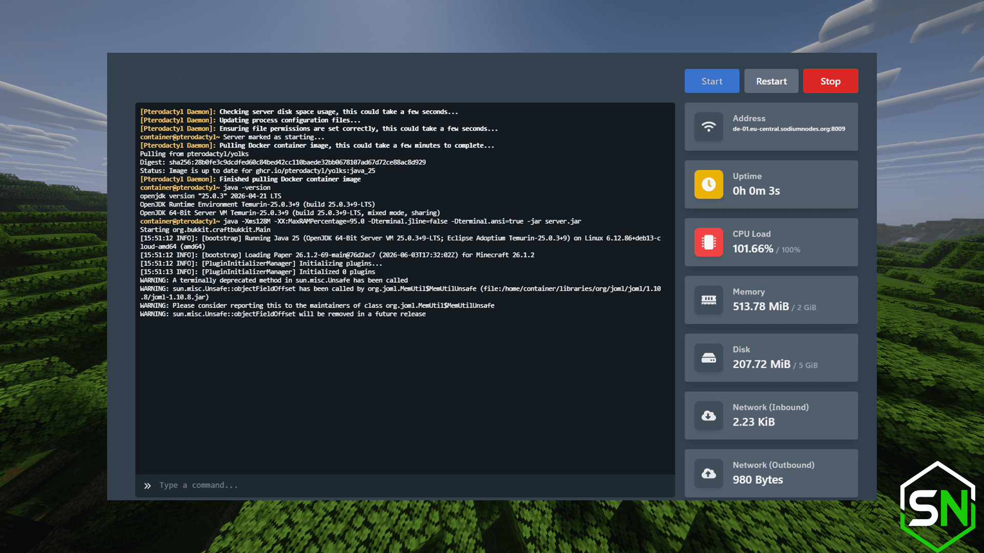 common minecraft server issues